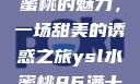 探索YSL水蜜桃的魅力，一场甜美的诱惑之旅ysl水蜜桃86满十八和88区别
