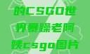 暴躁老阿姨的CSGO世界暴躁老阿姨csgo图片高清在线观看