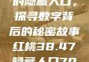 揭秘红桃背后的隐藏人口，探寻数字背后的秘密故事红桃38.47隐藏人口7004658