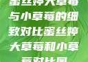 蜜丝婷大草莓与小草莓的细致对比蜜丝婷大草莓和小草莓对比图