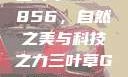 三叶草GW5856，自然之美与科技之力三叶草GW5856