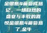 金银瓶4葡萄成熟记，一场自然的盛宴与丰收的喜悦金银瓶4葡萄熟了,金牛