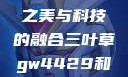 三叶草GW4429，自然之美与科技的融合三叶草gw4429和gw4334的外观对比