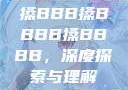搡BBB搡BBBB搡BBBB，深度探索与理解