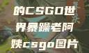 暴躁老阿姨的CSGO世界暴躁老阿姨csgo图片高清在线观看