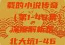 东北大坑，一部跨越四十余载的小说传奇（第1-46集）深度解析东北大坑1-46集小说东北大坑续集