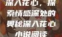 深入花心，探索情感深处的奥秘深入花心小说阅读