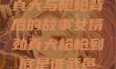 揭秘女婿劲真大与枪枪背后的故事女婿劲真大枪枪到底是谁武邑天气