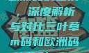 三叶草m码和欧洲码的区别，深度解析与对比三叶草m码和欧洲码的区别6868