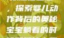 宝宝躺着时双腿往上翘，探索婴儿动作背后的奥秘宝宝躺着的时候双腿往上翘怎么回事