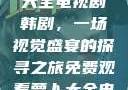 免费观看萝卜大全电视剧韩剧，一场视觉盛宴的探寻之旅免费观看萝卜大全电视剧韩剧大牛