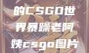 暴躁老阿姨的CSGO世界暴躁老阿姨csgo图片高清在线观看