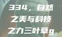 三叶草GW4334，自然之美与科技之力三叶草gw4334官网