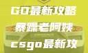暴躁老阿姨教你玩转CSGO最新攻略暴躁老阿姨csgo最新攻略 适合五十岁阿姨