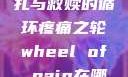 疼痛之轮，挣扎与救赎的循环疼痛之轮wheel of pain在哪里