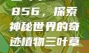 三叶草GW5856，探索神秘世界的奇迹植物三叶草GW5856