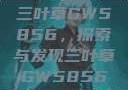 三叶草GW5856，探索与发现三叶草GW5856