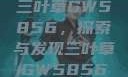三叶草GW5856，探索与发现三叶草GW5856