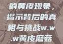 探索w.w.w下的黄皮现象，揭示背后的真相与挑战w.w.w黄皮磨菇招商