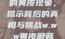 探索w.w.w下的黄皮现象，揭示背后的真相与挑战w.w.w黄皮磨菇招商
