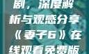 妻子6在线观看免费版电视剧，深度解析与观感分享《妻子6》在线观看免费版电视剧丈夫不在家