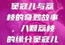 窦寇儿与荔枝的奇妙故事，八颗荔枝的缘分窦寇儿