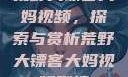 荒野大镖客大妈视频，探索与赏析荒野大镖客大妈视频剧情