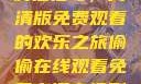 疯狂祖母，高清版免费观看的欢乐之旅偷偷在线观看免费高清电视剧