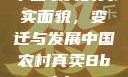 中国农村的真实面貌，变迁与发展中国农村真卖Bbwbbw