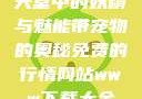 天堂中的妖精与魅能带宠物的奥秘免费的行情网站www下载大全