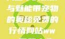 天堂中的妖精与魅能带宠物的奥秘免费的行情网站www下载大全