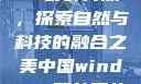 中国Windows野外开放，探索自然与科技的融合之美中国windows野外开放手机版