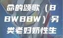 另类视角下的老妇奶性与生命的颂歌（BBWBBW）另类老妇奶性生BBwBBw肥婆BBX