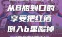 红酒的魅力，从B瓶到口的享受把红酒倒入b里喝掉视频播放