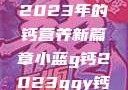 小蓝G钙与GGY钙，探索2023年的钙营养新篇章小蓝g钙2023ggy钙2023的功能介绍