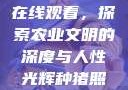 种猪电影免费在线观看，探索农业文明的深度与人性光辉种猪照片图