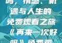 再来一次好吗，情感、机遇与人生的免费观看之旅《再来一次好吗》免费观看高清全集