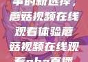 观看NBA赛事的新选择，蘑菇视频在线观看体验蘑菇视频在线观看nba直播免费