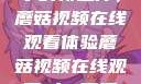 观看NBA赛事的新选择，蘑菇视频在线观看体验蘑菇视频在线观看nba直播免费