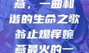 翁止熄痒婉燕，一曲和谐的生命之歌翁止熄痒婉燕最火的一句