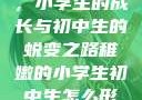 稚嫩的翅膀，小学生的成长与初中生的蜕变之路稚嫩的小学生初中生怎么形容句子