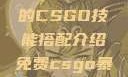 暴躁老阿姨的CSGO技能搭配介绍免费csgo暴躁少女
