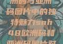 SNH48在欧洲码与亚洲码图片中的独特魅力snh48欧洲码和亚洲码图片对比
