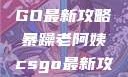 暴躁老阿姨教你玩转CSGO最新攻略暴躁老阿姨csgo最新攻略 适合五十岁阿姨