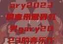 小蓝彩虹男Gary2023的音乐世界
引言小蓝彩虹男gary2023的音乐作品师哥