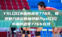 YSL口红水蜜桃色号7766，探索魅力色彩的独特魅力ysl口红水蜜桃色号7766在线