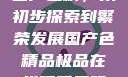 国产色精，从初步探索到繁荣发展国产色精品极品在线观看无码