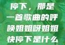 姐姐呀姐姐快停下，那是一首歌曲的呼唤姐姐呀姐姐快停下是什么歌曲小说
