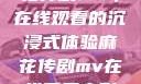 星空下的麻花传剧MV，在线观看的沉浸式体验麻花传剧mv在线看星空影视评价
