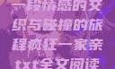 疯狂一家亲，一段情感的交织与碰撞的旅程疯狂一家亲txt全文阅读免费